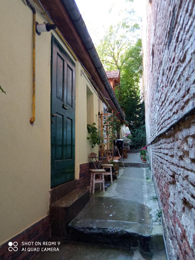 Crown Of Karolina Apartment Brașov Exterior foto